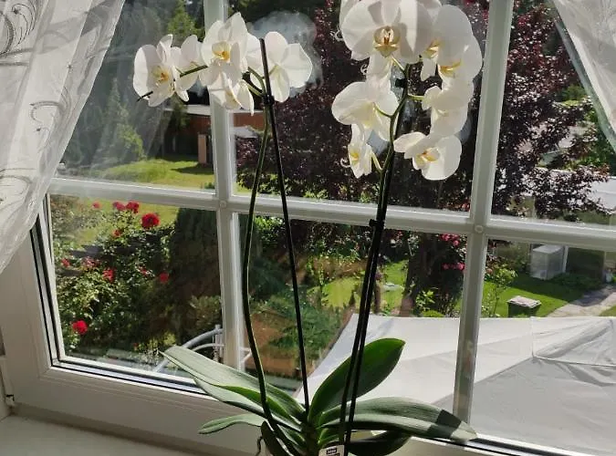 Apartament Blumen *